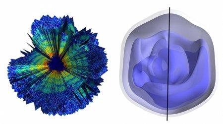 Ученые сделали трехмерный снимок гигантского вируса